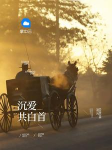 职路风云免费阅读